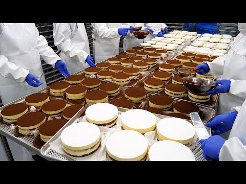 oddly satisfying video! amazing cake mass production factory BEST5 - korean street food