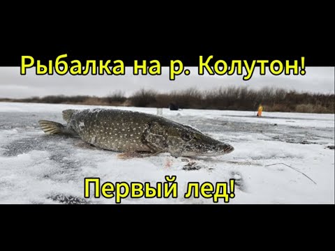 Первый лед на р. Колутон !В поисках льда ! 06.12.25