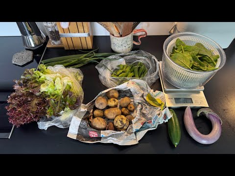 Farm vlog 4: After a rainy week everything grew like crazy!