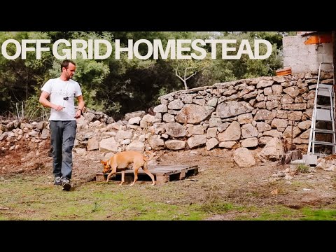 Country Living and Preparing for the Arrival of our Baby ✨