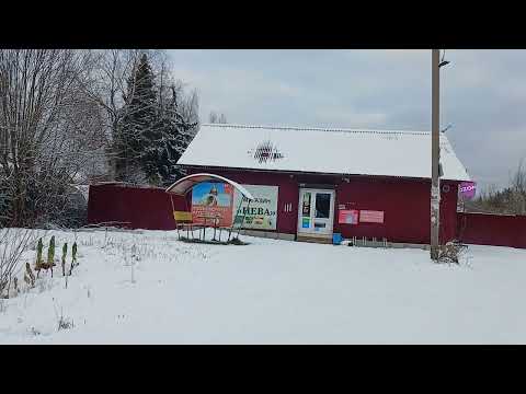 Пупышево, дорога на 106 км. Со стороны 106 км от СНТ озон в сторону станции Пупышево. Октябрь 2025.