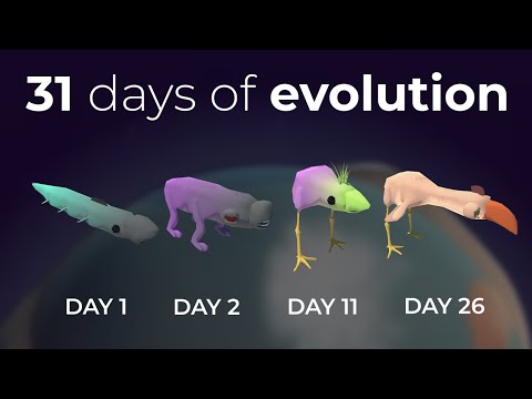 I streamed an evolution simulator for 1 month. This is what evolved. (extended cut)