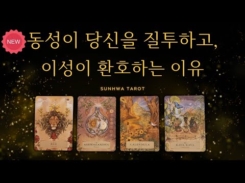 [타로I매력💖] 동성이 질투하고 이성이 환호하는 이유