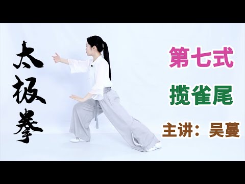 《八式太极拳》第10节 揽雀尾：强腰固肾，气血充盈【学国学网】