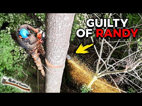 Guilty of Randy