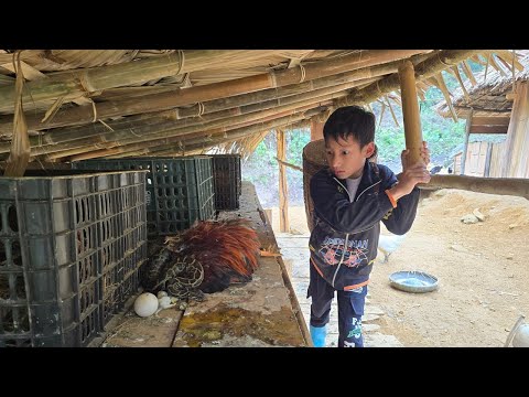 FULL VIDEO: 30 days Highland boy khai Build a chicken farm to trap fish to sell, catfish fishing