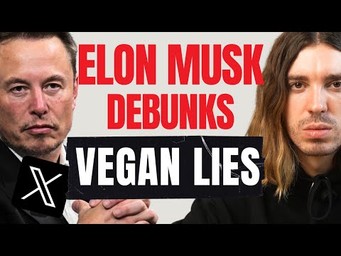 Elon Musk has had ENOUGH of vegan misinformation.