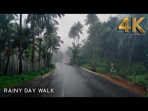 Pitter-Patter Paradise: A Rainy Day Stroll Through Villages : ASMR Rain Walks Compilation for Sleep