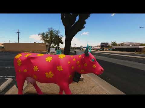 Joshua Tree: California's High Desert Escape