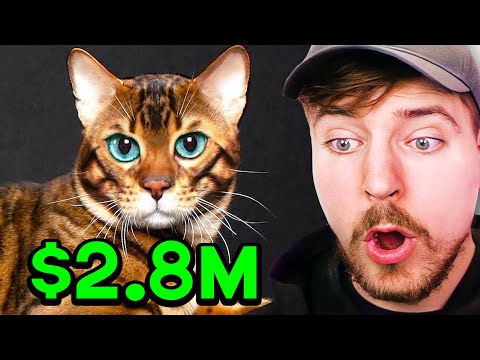 Rarest Pets Ever!