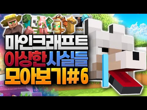 마인크래프트 이상한 사실들 모아보기 #6 (Minecraft) [블루위키]