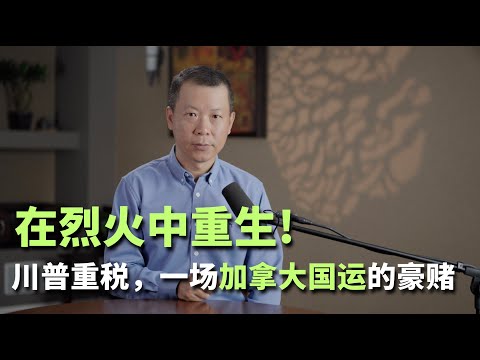 在烈火中重生!川普35%重税,一场加拿大国运的豪赌