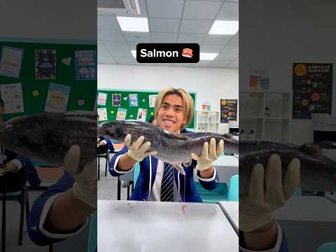 What to do when your teacher says the classroom sounds like a fish market 😬