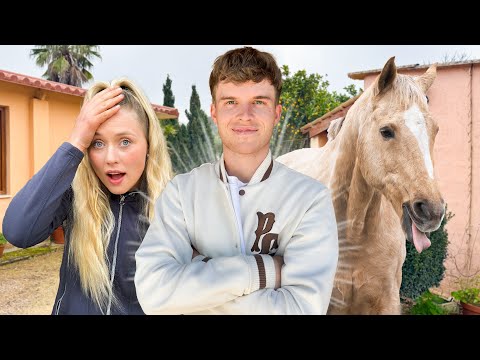 TOM KÜMMERT sich um die PFERDE