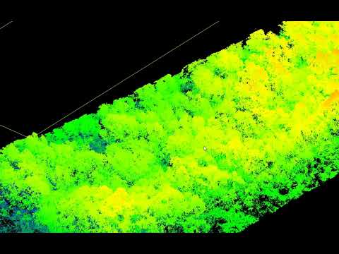 Canopy Height Model With Cloud Compare
