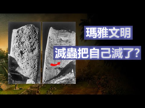 殺蟲劑的故事 為什麼這是一場人類永遠都打不贏的戰爭 瑪雅古城被遺棄的真正原因 | 1K圖解