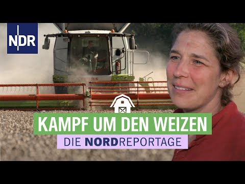 Franziska muss den Weizen retten | Trecker, Typen, Erntezeit 4 | Die Nordreportage | NDR