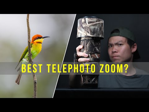 10 things I LOVE about the NIKON 180-600mm (and 2 things I don't)