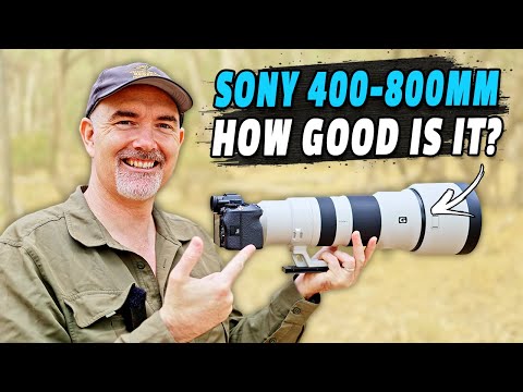 Sony 400-800mm Review – JAW-DROPPING Zoom & Sharpness! But $$$