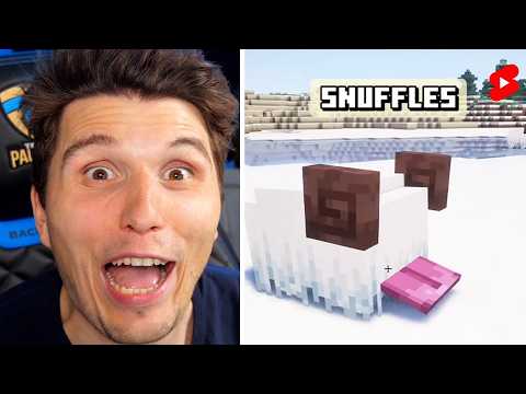 Paluten guckt Shorts bis er die neuen Minecraft Mods testet
