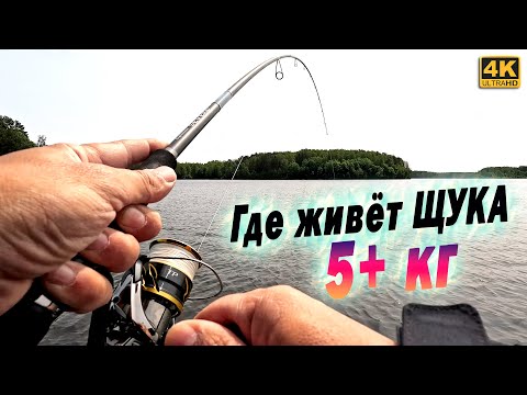 Where does a pike weighing over five kilograms live? If you only catch baitfish.