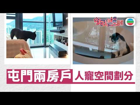 TVB今日有樓睇|2026年04月10日|屯門兩房戶 人寵空間劃分|樓市|樓盤