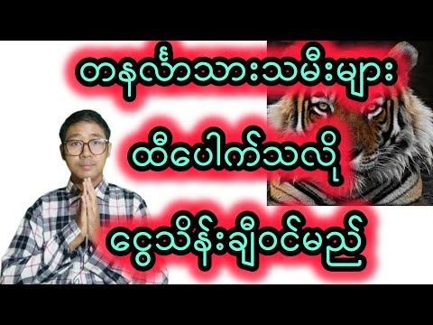 တနင်္လာသားသမီးများအတွက်၁၂လပိုင်း အထူးဟောစာတမ်း