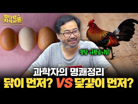 치킨을 그렇게 먹었는데 이걸 몰랐네... 닭에 대한 정말 놀라운 사실들 🐔