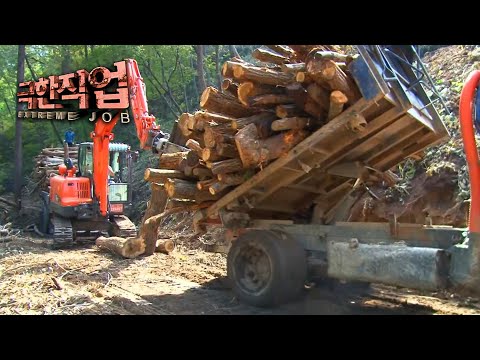 [극한직업] - 벌목공 1~2부