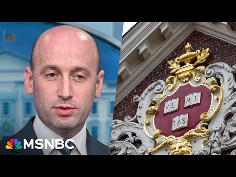Trump Administration hired a staffer working with Stephen Miller to wage war with Harvard 