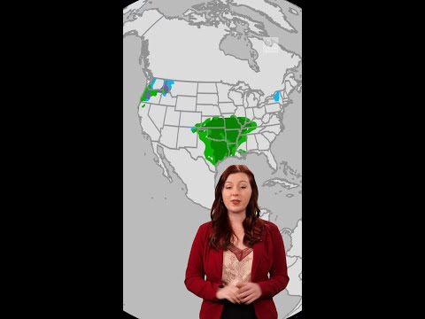 Mother Nature To Keep You Inside This Valentine's Day