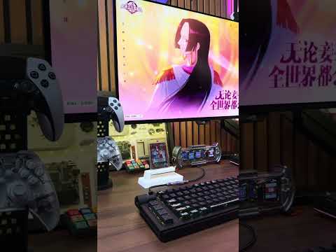 Boa Hancock Desk Setup