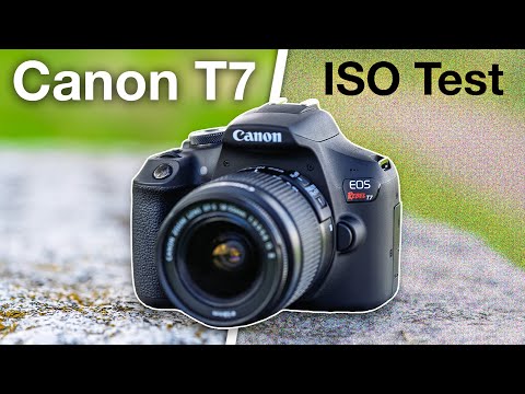 Canon Rebel T7: Full Photo & Video ISO Noise Test