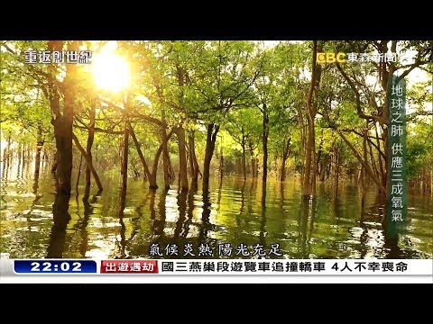 重返創世紀－聚焦亞馬遜