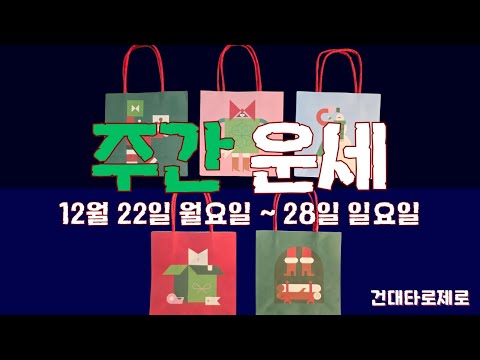 |주간타로| 12월 넷째 주, 직장, 금전, 시험, 계약, 애정, 심리, 조언