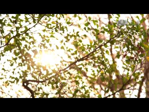 【人到中年】20140520 - 家庭空巢期來襲 - 如何調整新生活