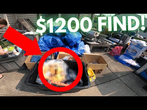 I Couldn't Believe What Was in This Box at a Garage Sale!