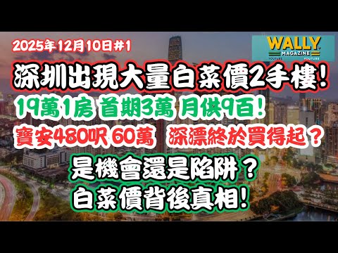 深圳樓價崩壞？19萬一房、首期3萬上車，月供900！寶安480呎60萬｜深漂終於買得起？還是新一輪「有價無市」陷阱？完整解析「白菜價」背後真相