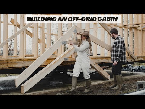Off-grid cabin build. Big changes on our 3 acre homestead in Wales
