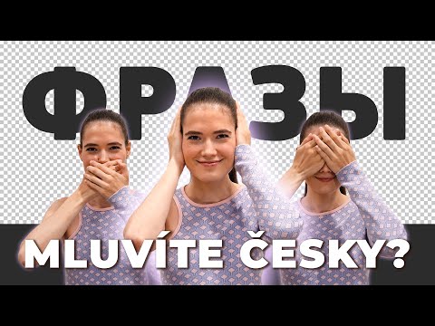 Самые используемые фразы в Чешском языке • Чешский язык с нуля #7
