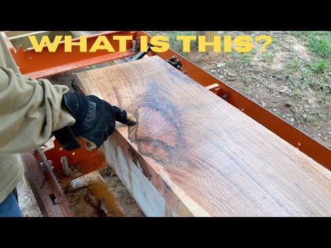 Sawing Red Oak with the Woodmizer LX50 Super