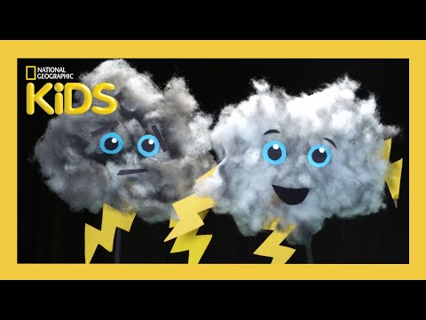 Storm Chasers🌪️ | Weird But True! | S1 E2 | Full Episode | @natgeokids