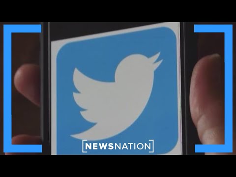 FBI pushed Twitter to censor Hunter Biden story: Report | Morning in America