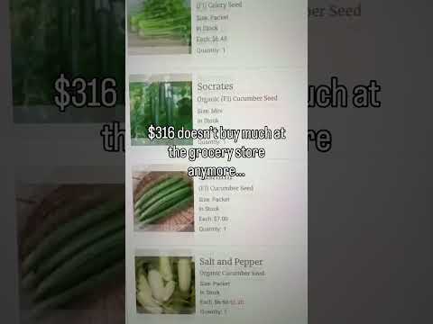 The garden is an abundant investment π±