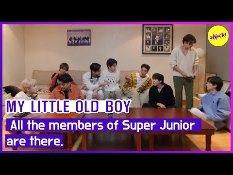 [HOT CLIPS] [MY LITTLE OLD BOY] All the members of Super Juniorare there.(ENGSUB)