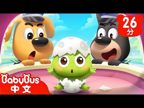 【新劇集】追逐蛋寶寶 | 神奇的烏龜蛋 | 車車 | 動畫 | Kids Cartoon | 安全教育 | 安全警長啦咘啦哆 | 寶寶巴士 BabyBus