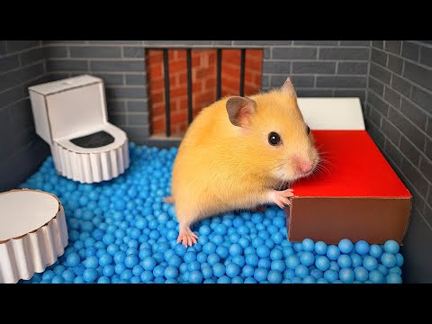 🐹 DIY Hamster Escapes the Rainbow Prison [OBSTACLE COURSE]