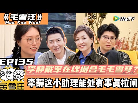 【毛雪汪】第135期超长尊享版：戴军在线撮合毛毛雪琴？ #综艺 #毛雪汪#李雪琴#毛不易#李静#戴军