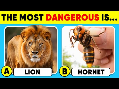 How Good Is Your Knowledge of ANIMALS? 🦁🐯✅ General Knowledge Trivia Quiz