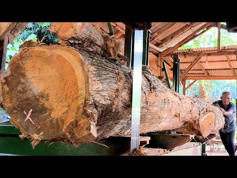 "HORROR! HOW STRONG IS THIS MACHINE TO SPLIT TEAK WOOD THIS LARGE?"